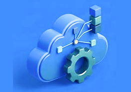 Cloud based ERP